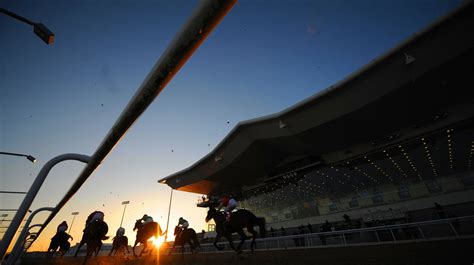 Dundalk Racecourse: Today's Results & Betting .